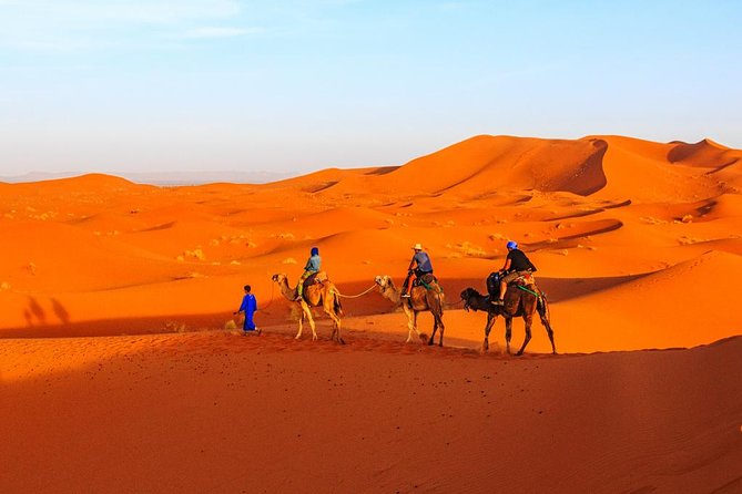 Best of Moroccan Sahara: 5-Day Guided Tour From Marrakech - Travel Tips and Expectations