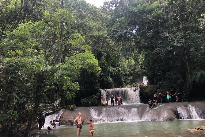 Black River Safari, YS Falls and Appleton Estate - Indulge in Local Flavors and Tastings