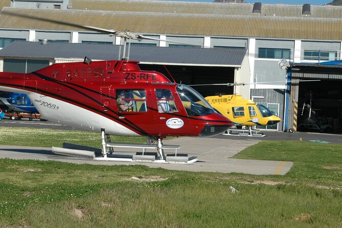 Camps Bay and Hout Bay Helicopter Tour From Cape Town - Common Questions