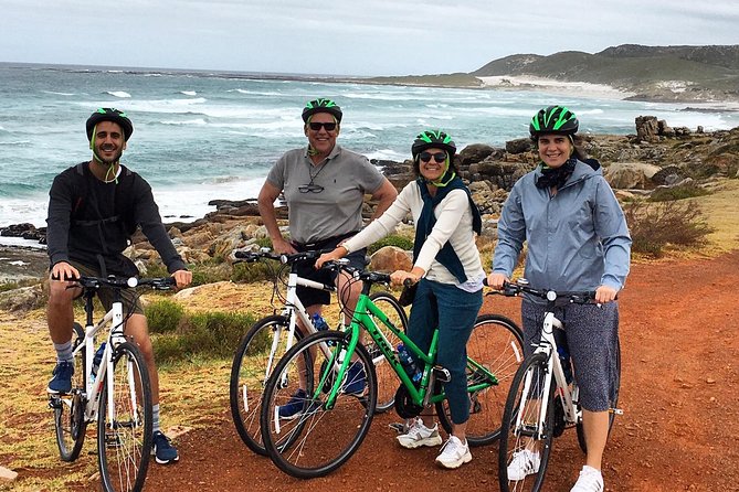 Cape Peninsula E-bike Cycle and Shuttle Combo Private Tour - Pricing and Group Size Options