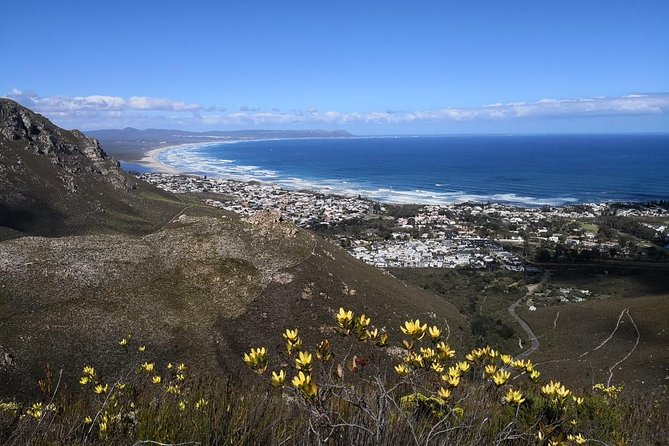 Cape Town 3-Day Hosted Experience - Cancellation Policy