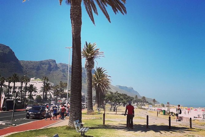 Cape Town City Cycle - Private Tour - Reviews