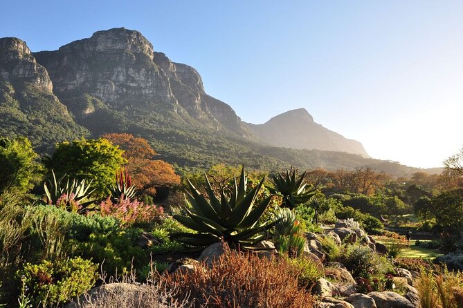 Cape Town City Sightseeing Tour - Pricing and Terms