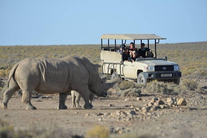 Cape Town Lodge Room : 2-Days Cape Town Safari Game Reserve - Accommodation and Facilities