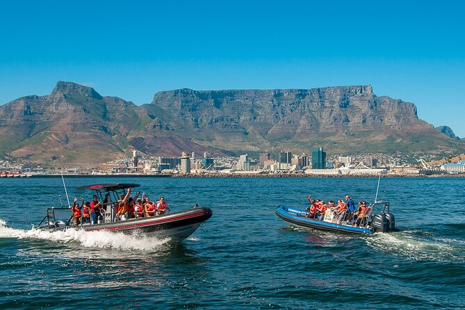 Cape Town Ocean Safari Boat Tour - Cancellation Policy for the Boat Tour