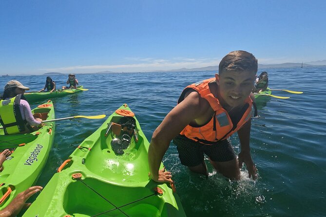 Cape Town Sea Kayaking Adventure Launching From V&A Waterfront - Inclusions: Lifejackets and Paddles