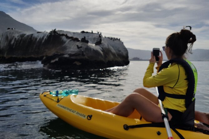 Cape Town: Sea Kayaking Near Penguins Tour - Questions and Help