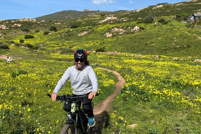 Cascais-Sintra E-Bike Tour: Discover Its Natural Beauty - The Sum Up