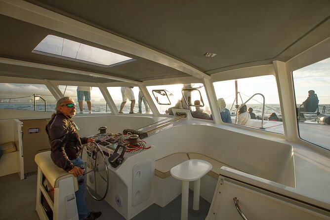 Catamaran Sunset Champagne Cruise Cape Town - Common Questions