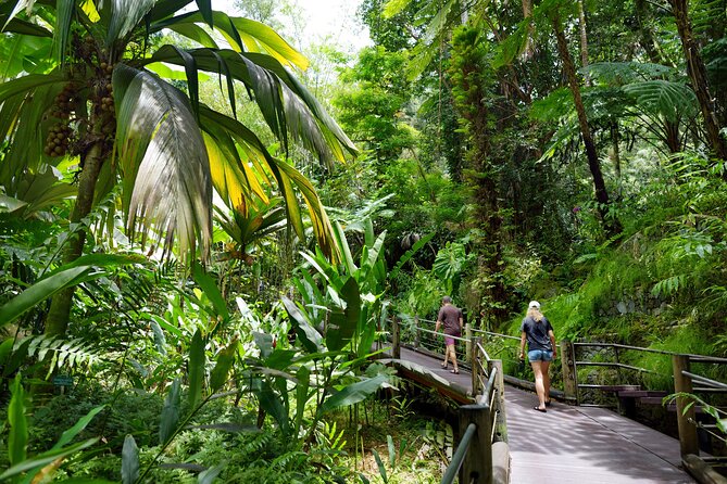 Circle Island Off-the-Beaten-Tour (Private) - Shopping and Dining