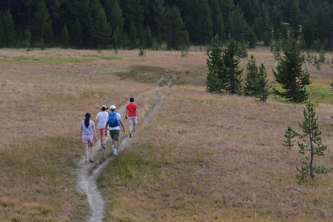 Classic Yellowstone Hike to the Shores of Lake Shoshone (Private up to 8 People) - Questions and Additional Information