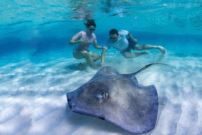 Cruise Ship Shore Tour - Stingray City, Reef Snorkel and Starfish - Common Questions