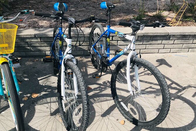 Cruiser Bike Rental at Crandon Park - Snacks Provided