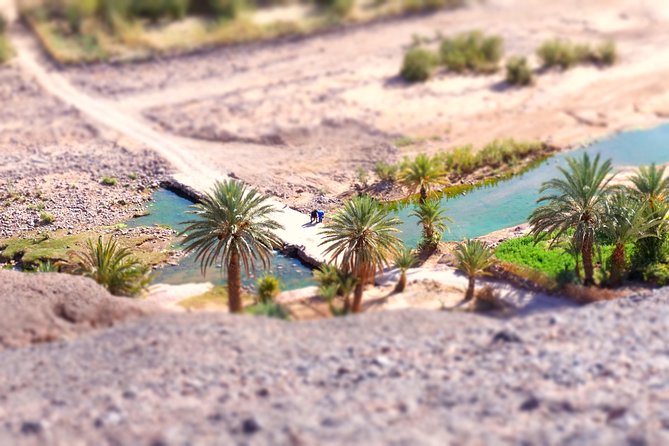 Day Trip to Visit Ouarzazate - Practical Tips for Your Day Trip