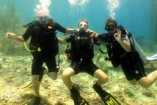 Discover Diving in Curaçao With Transportation Included - Directions