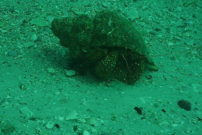 Discover Snorkeling Tour in Panama City - Cancellation Policy
