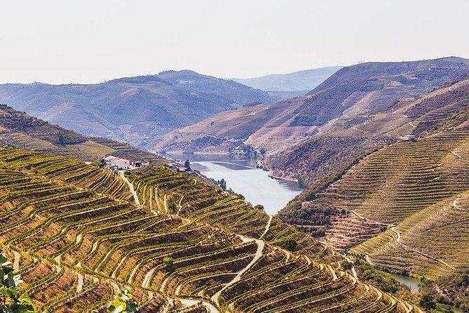 Douro Valley Wine Tour - Top Wineries to Visit