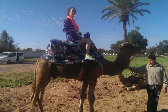 Dromedary Safari: 2 Hours - Customer Review and Experience