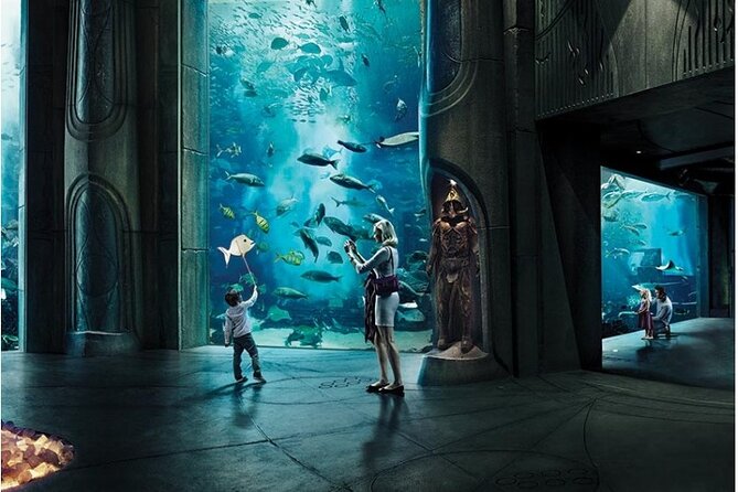 Dubai Mall Aquarium &Underwater Zoo Tickets With Transfer - Pricing and Terms & Conditions
