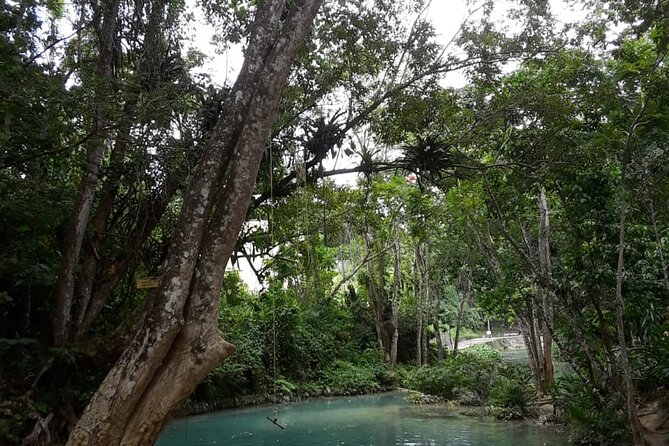 Dunns Falls and Blue Hole Daytrip With Lunch From Montego Bay & Trelawny - Exploring Dunns Falls