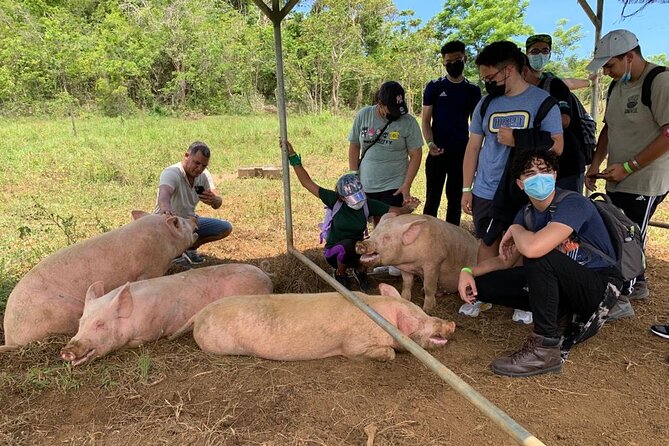 Eco Friendly Farming Tour to Explore Dorados Most Beautiful Farm - Reviews and Ratings