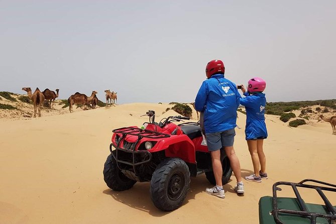 Essaouira: 2h/Quad1h/Camel Ride Minimum 2 People - Traveler Reviews