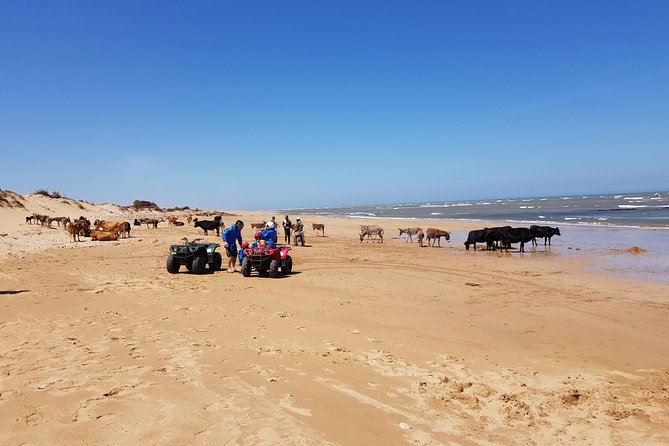 Essaouira: 3-Hour Quad Ride (Minimum 2 People) - Additional Information