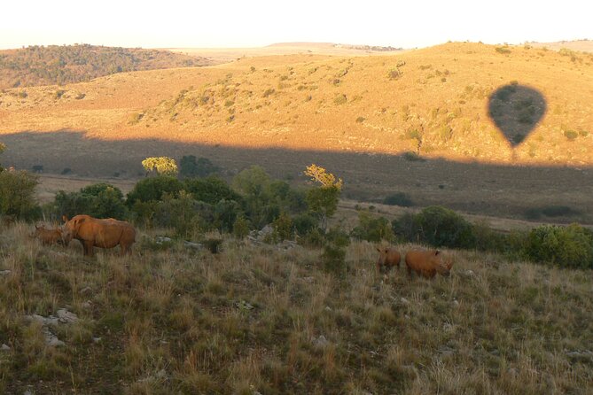Exclusive Safari Flight - Common Questions