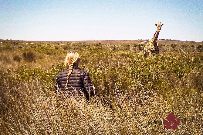 EXCLUSIVE West Coast Safari and Khoi San Village COMBO - Minimum Number of Travelers