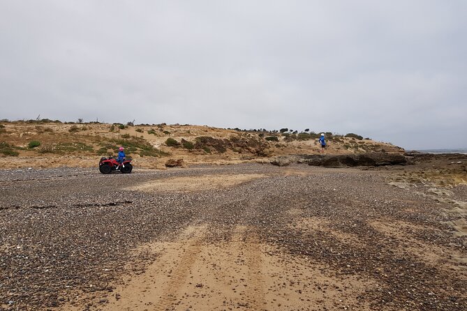 Excursion: 1h/Quad1h/Dromedaries (Minimum 2 People) - Pricing and Booking Information