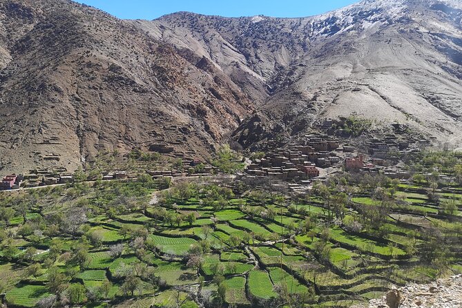 Excursion to the Atlas Mountain From Marrakech - Tea Time With Locals