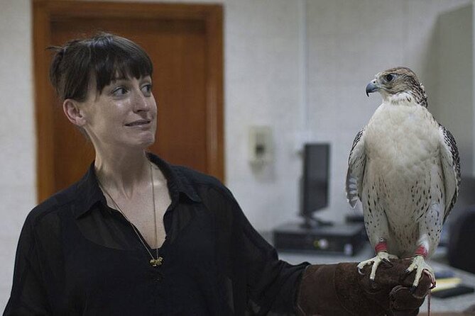 Experience Abu Dhabi Falcon Hospital Tour - Common Questions