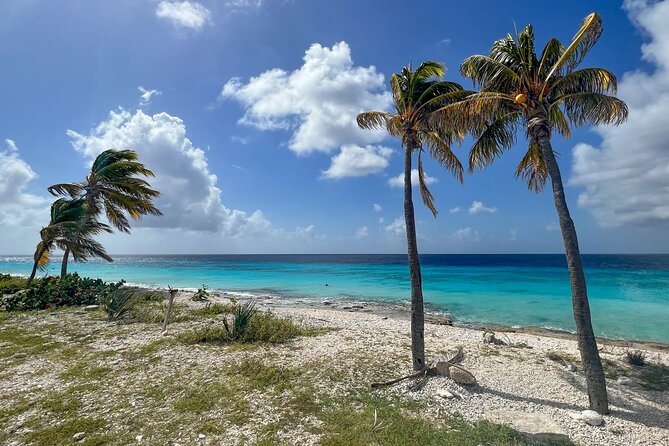 Explore Bonaire: North & South Tour - Common Questions