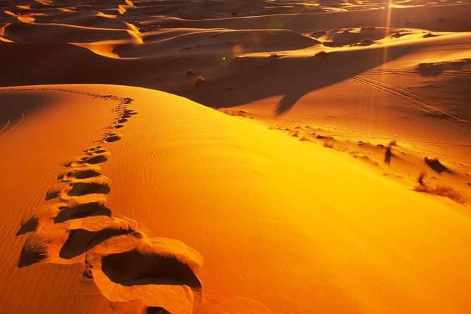 Fes Desert Tours 2 Days - Copyright and Terms