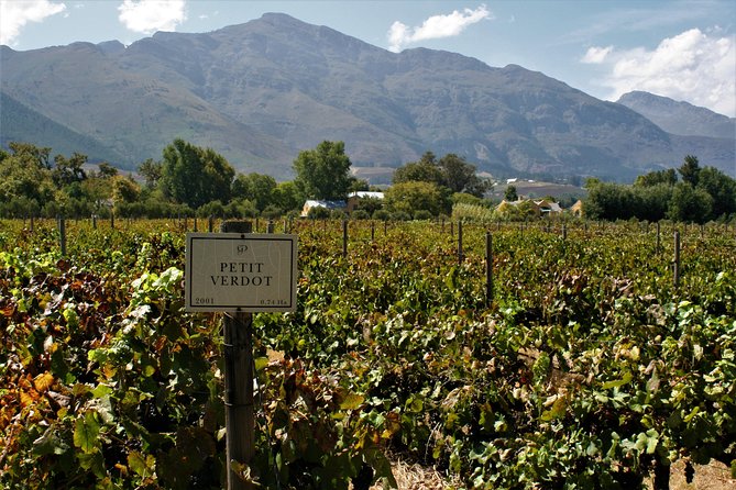 Franschhoek Half-Day Private Bike Tour With Lunch and Wine  - Cape Town - Pricing and Group Size