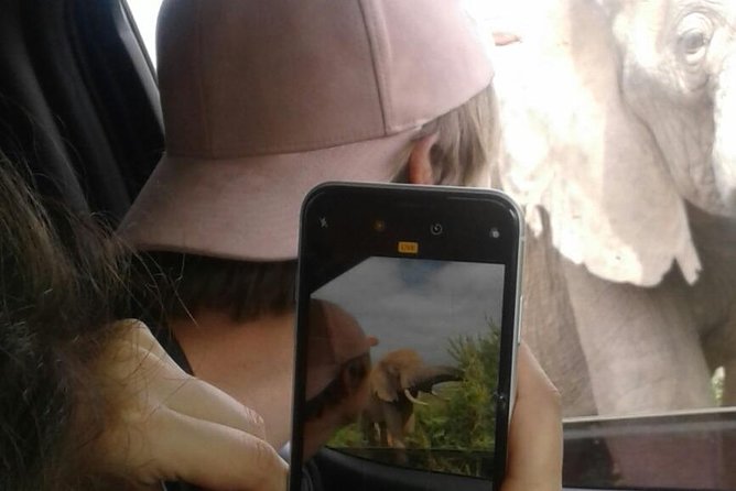 Full Day Addo Elephant National Park Safari Wit BBQ:Thentic Tours - Inclusion: BBQ Experience