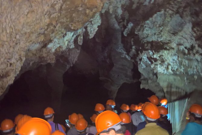 Full-Day Cradle of Humankind Guided Tour From Johannesburg or Pretoria - Fossil Discoveries