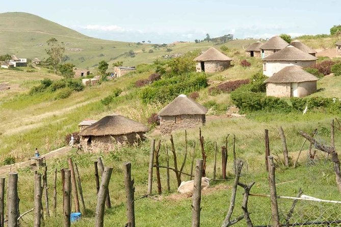 Full Day - Hluhluwe Imfolozi Game Reserve 1 Day Tour From Durban - Specific Review Highlighting a Great Guide