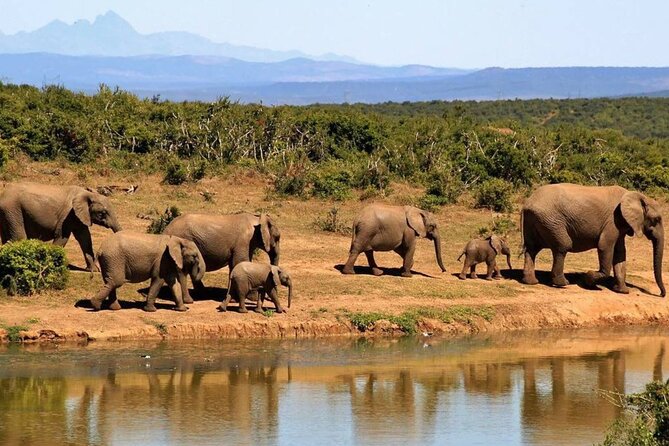 Full Day Hluhluwe Imfolozi Game Reserve From Durban - Practical Information