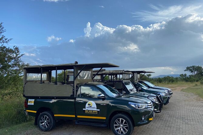 Full-Day Kruger Park Safari From Nelspruit, Whiteriver or Hazyview - Reviews and Price