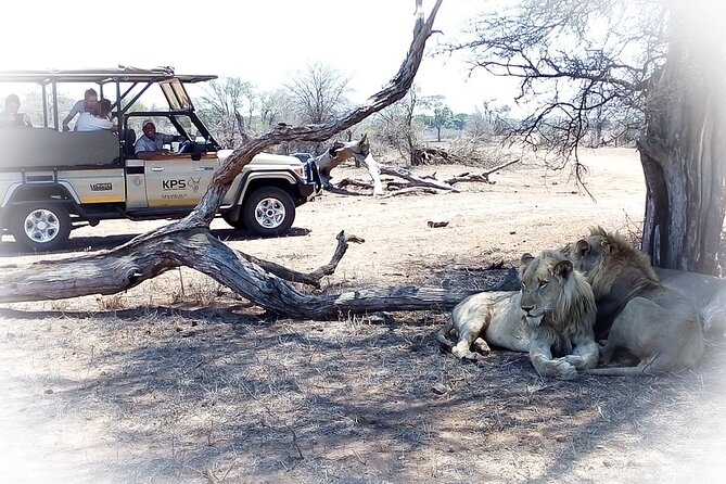 Full Day Private Kruger Park Safari - Spotting the Big Five