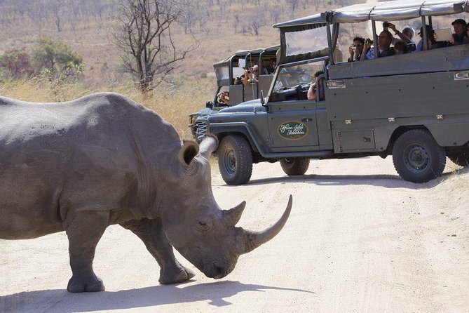Full Day Safari in the Kruger National Park From Hazyview - Directions and Getting to Kruger National Park