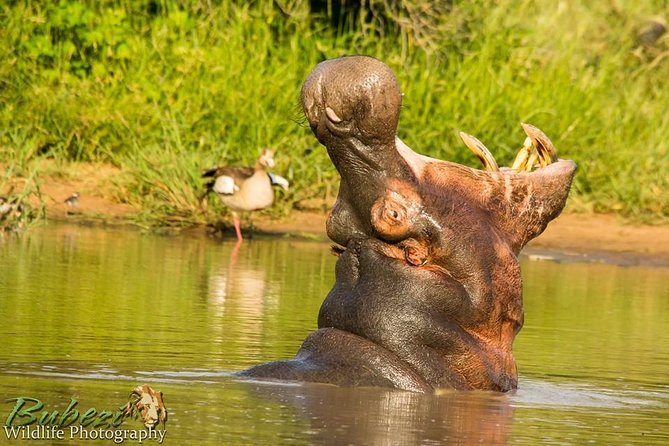 Full Day Safari - Kruger National Park - Additional Information for Participants