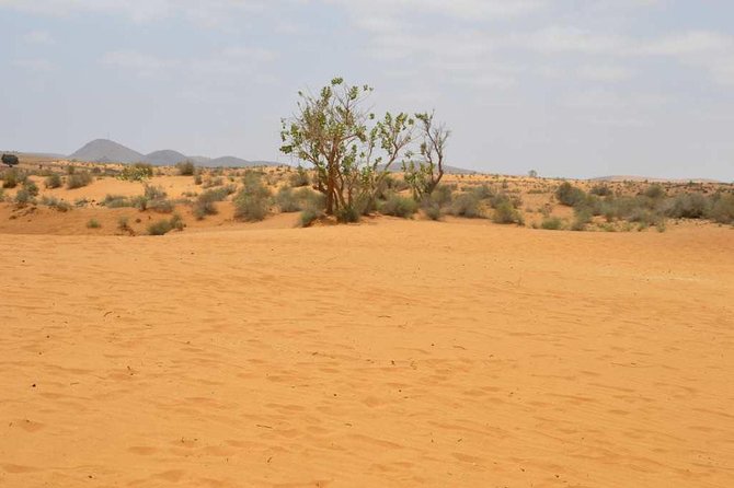 Full Day to Small Desert From Agadir - Safety Tips