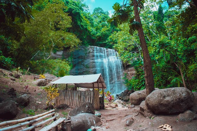 Full Day Tour - Popular Sites Grenada, Belmont Estate, Rain Forest and More - Booking and Reservation Information