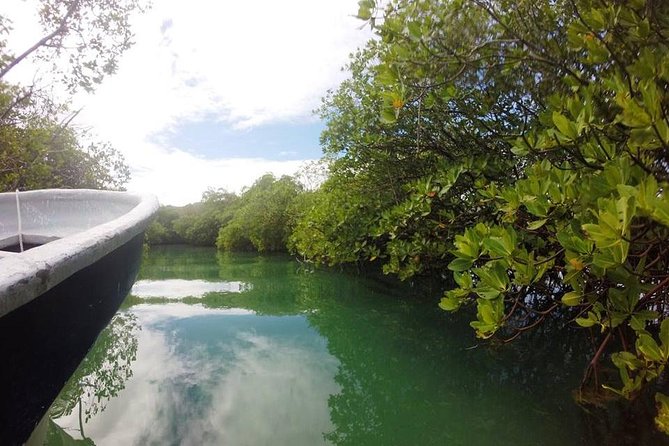 Full-Day Tour to Punta Rucia and Cayo Arena With Snorkeling - Directions and Tips for the Full-Day Tour