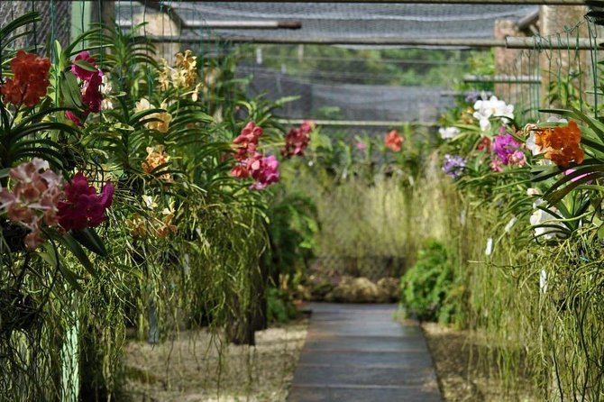 Garden Delight Full-Day Tour in Barbados - Pricing and Booking Information