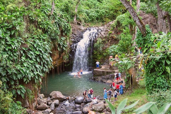 Grand Anse Small-Group Grenada Nature Tour - The Sum Up