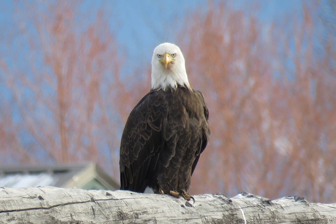 Grand Teton National Park - PRIVATE Sunrise Tour From Jackson Hole - Price