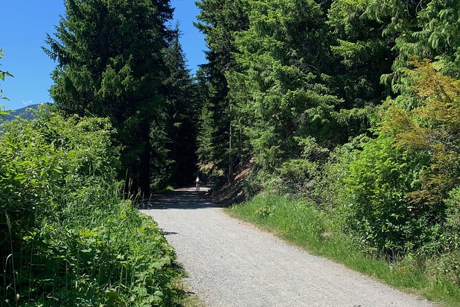 Guided Bike /E-bike Tour in Whistler From Vancouver - Additional Info